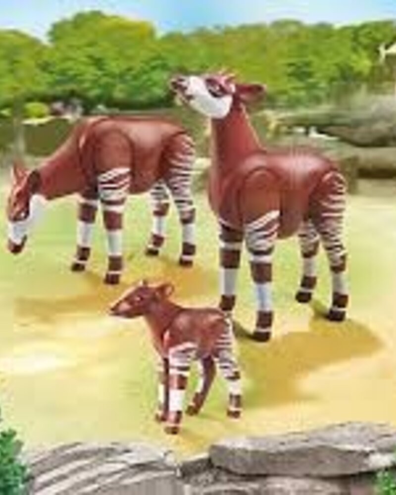 6643 Okapi's met Kalf