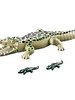 6644 Alligator met Baby's