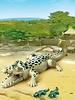 6644 Alligator met Baby's