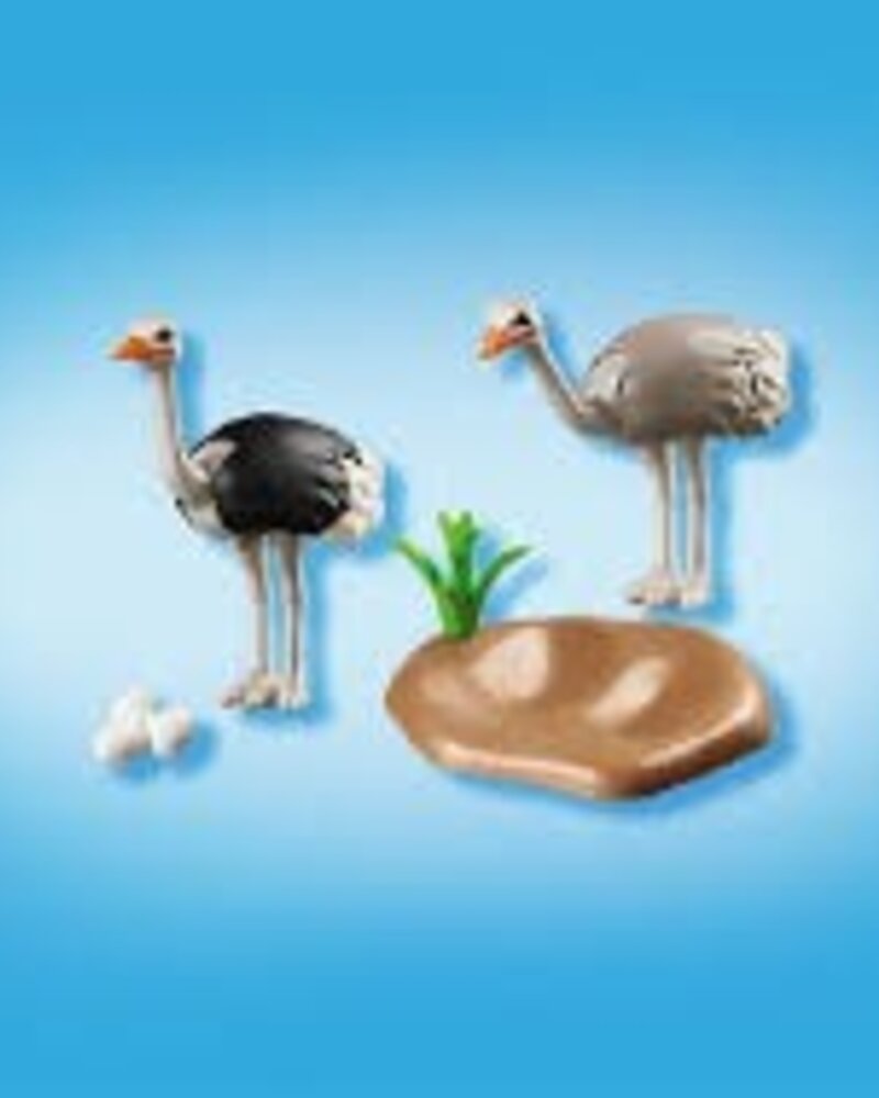 6646 Struisvogels met Nest