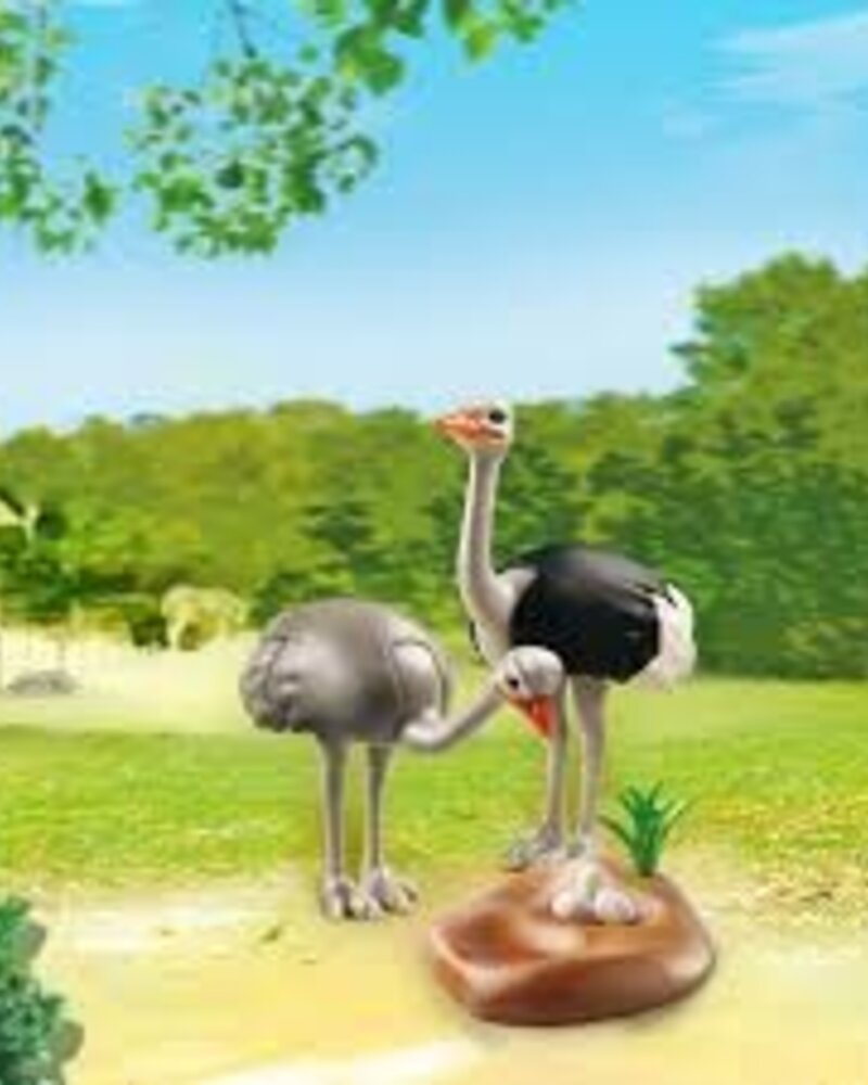 6646 Struisvogels met Nest