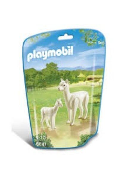 6647 Alpacca met Baby