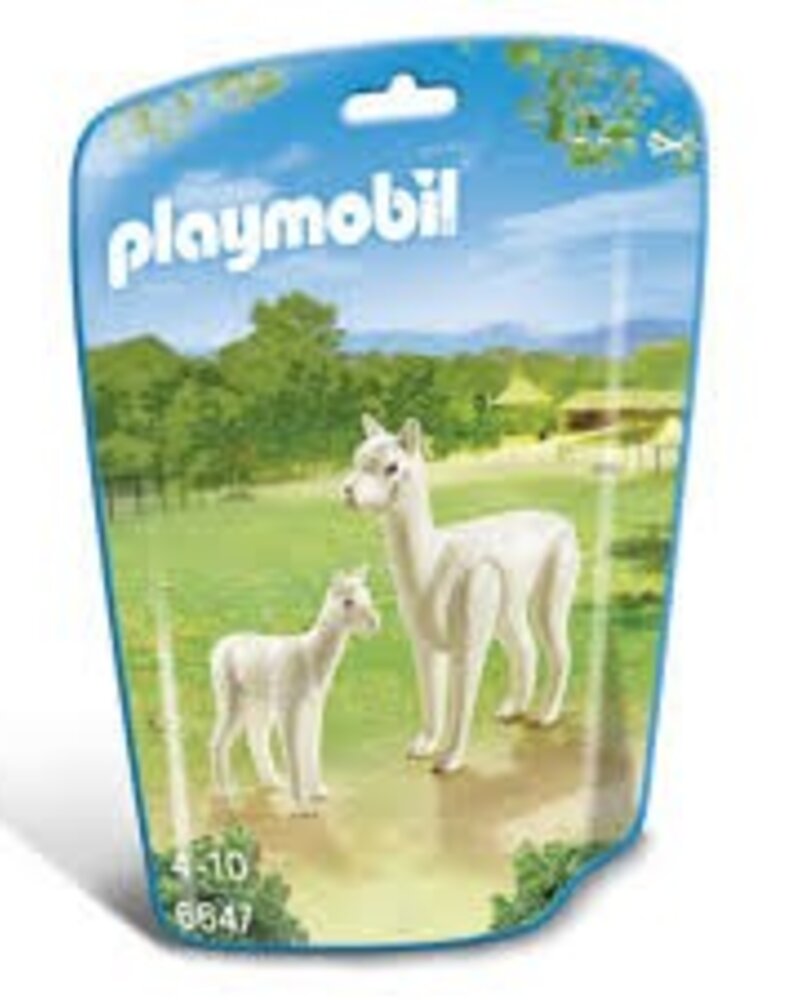 6647 Alpacca met Baby