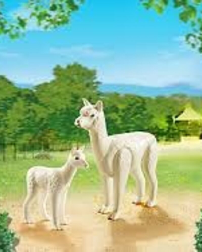 6647 Alpacca met Baby