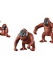 6648 Orang-Oetans met Kind