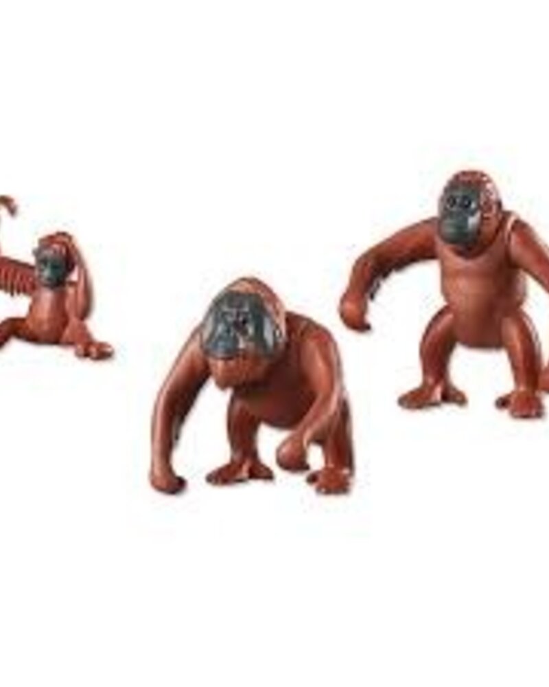 6648 Orang-Oetans met Kind