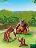 6648 Orang-Oetans met Kind