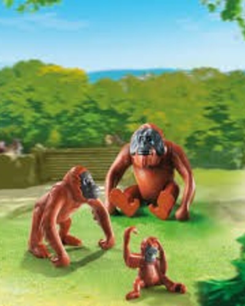 6648 Orang-Oetans met Kind