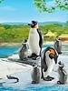 6649 PinguÃ¯ns met Jonge