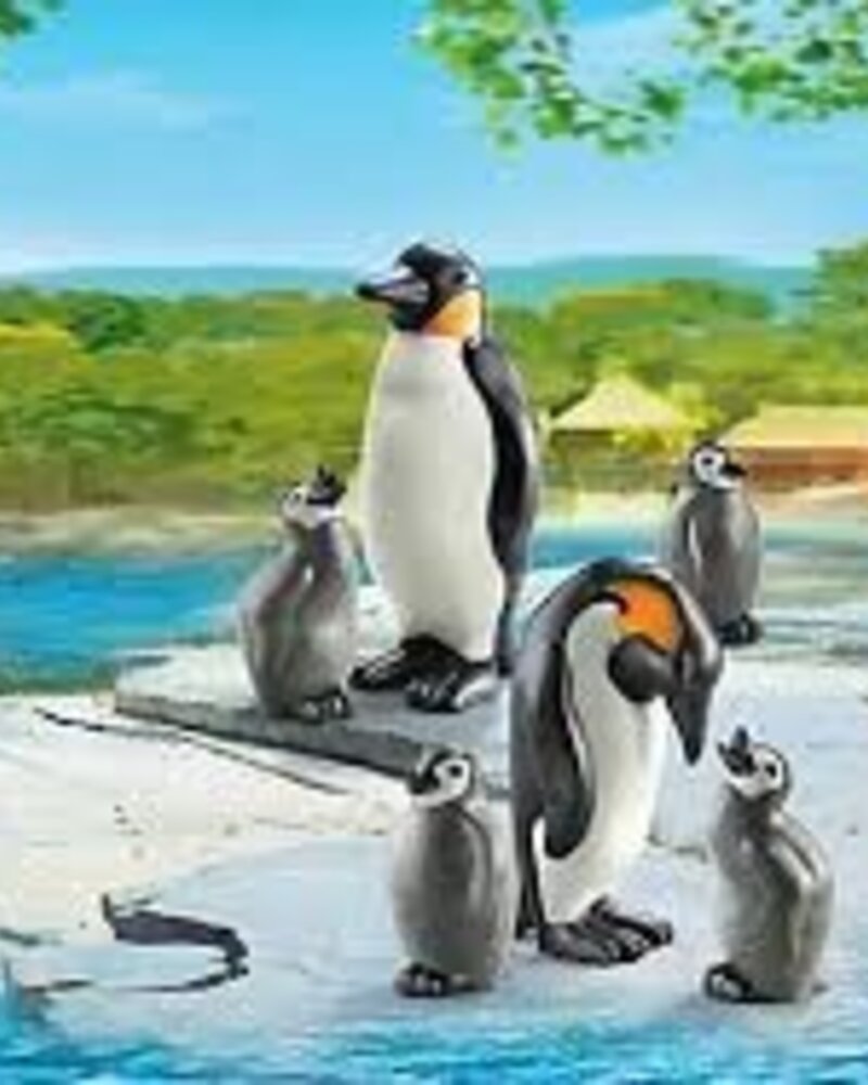 6649 PinguÃ¯ns met Jonge