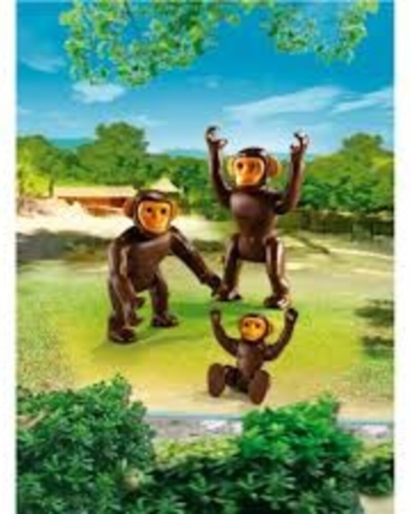 6650 Chimpansees met Baby