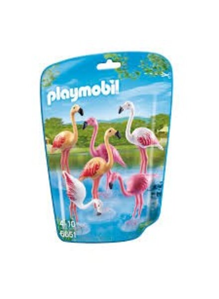 6651 Groep Flamingo's