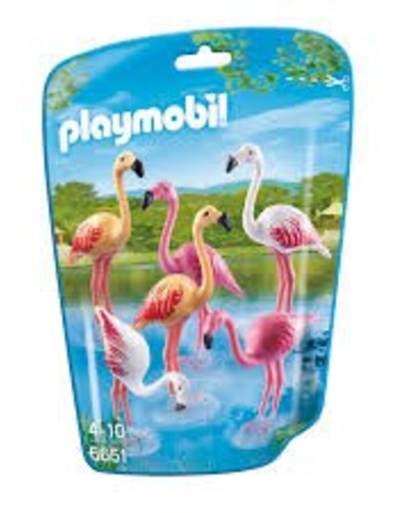 6651 Groep Flamingo's