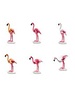 6651 Groep Flamingo's