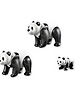 6652 Panda's met Jong