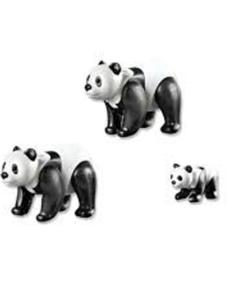 6652 Panda's met Jong