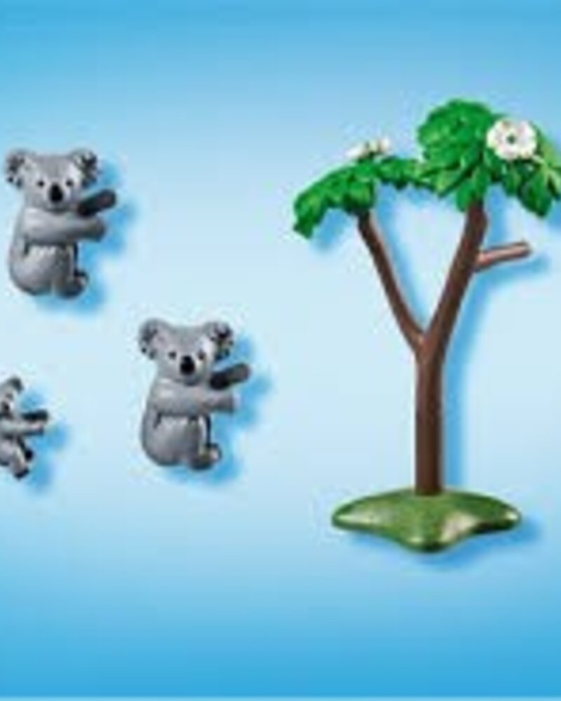 6654 Koala's met Baby