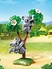 6654 Koala's met Baby