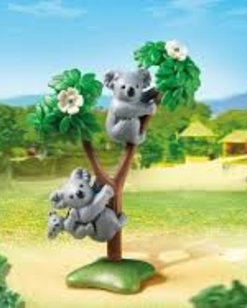 6654 Koala's met Baby