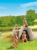 6655 Stokstaartjes