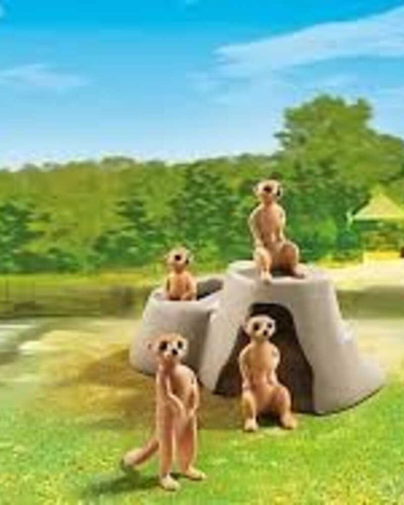 6655 Stokstaartjes