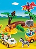 5047 Safari
