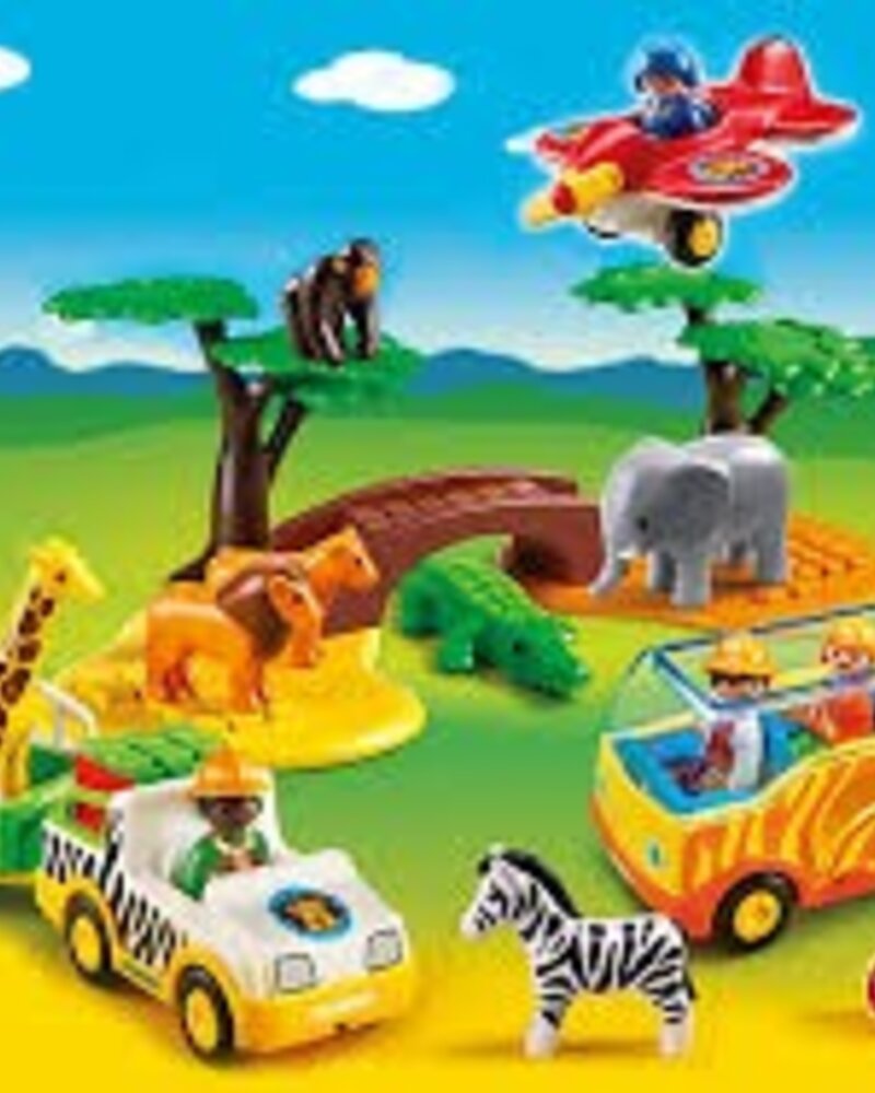 5047 Safari