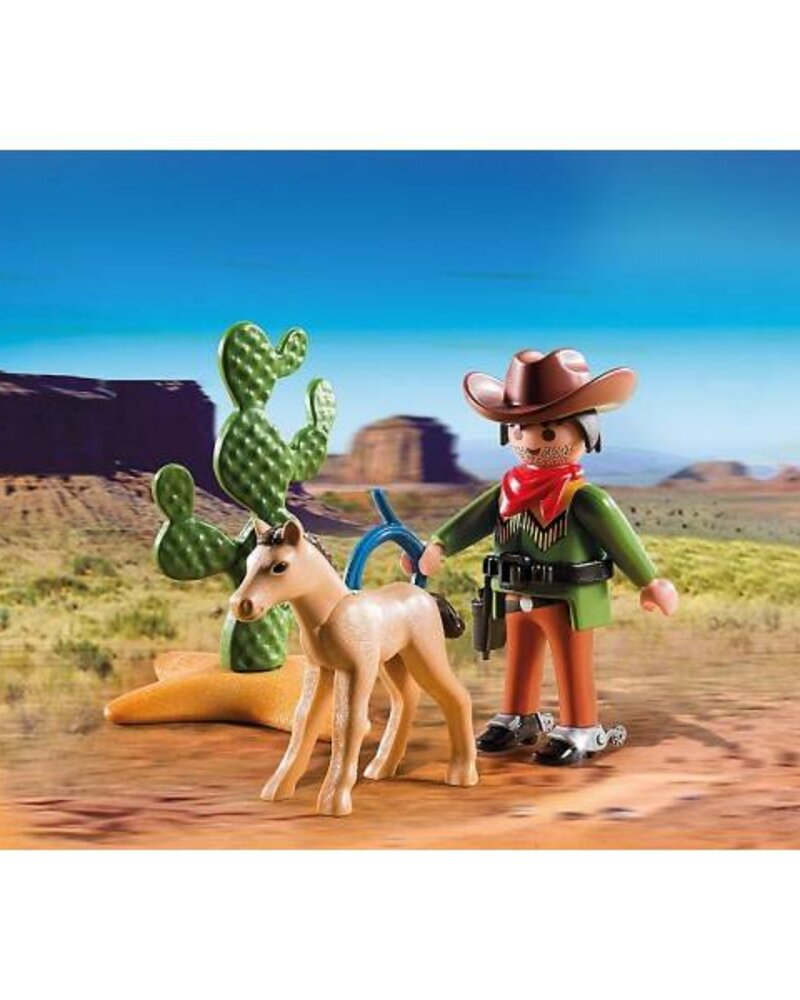 5373 Cowboy met Wild Veulen