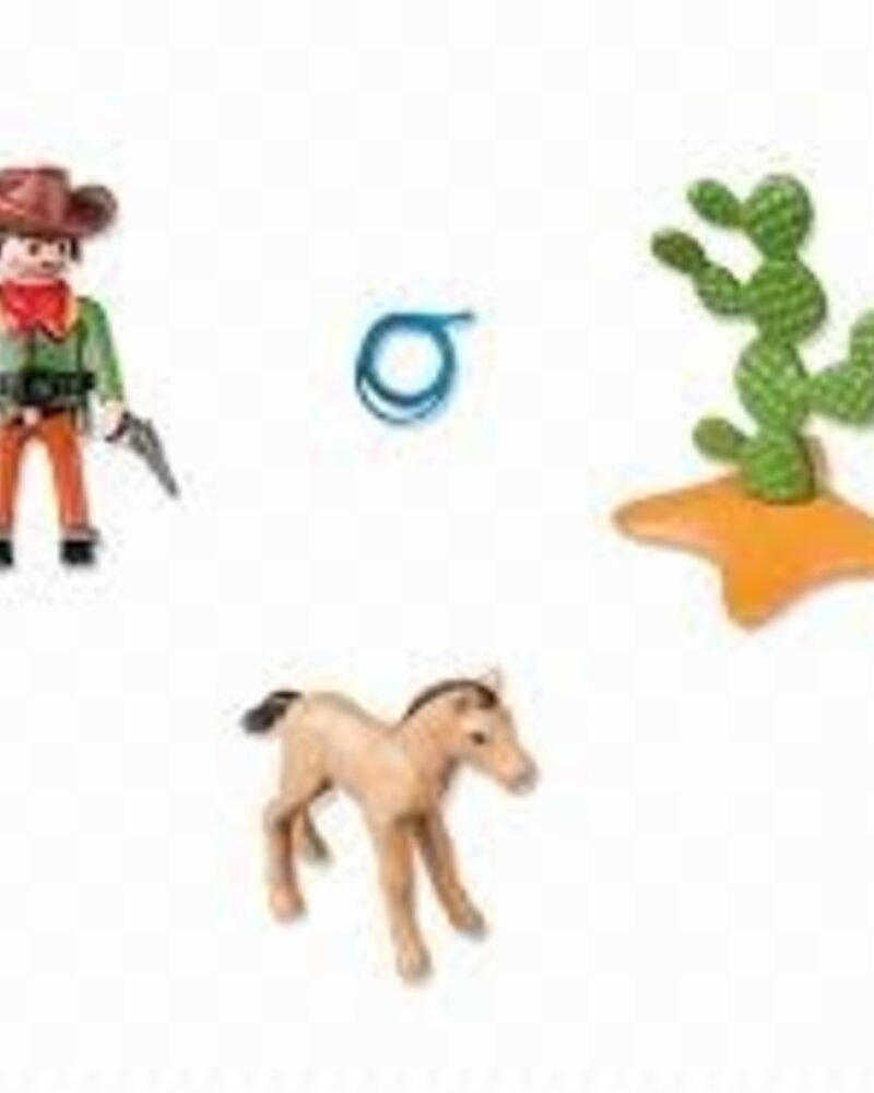 5373 Cowboy met Wild Veulen