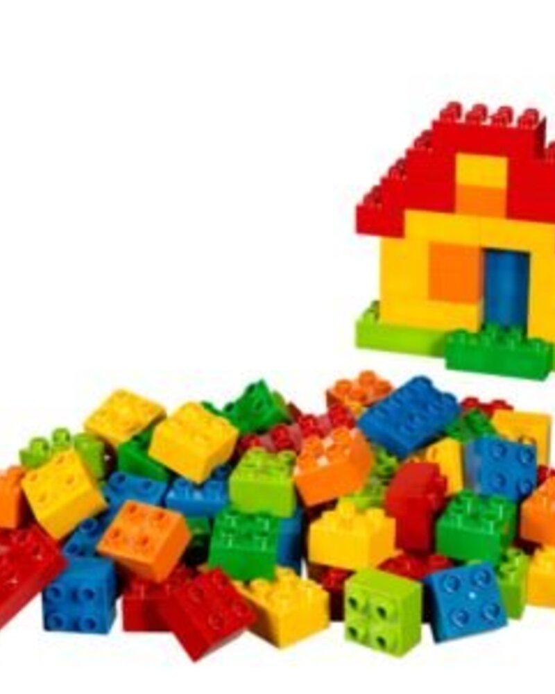 10623 Duplo Bricks
