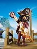 4798 Haaibaard