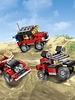 31040 Woestijnracers