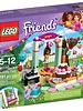 41110 Verjaardagsfeest