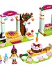 41110 Verjaardagsfeest