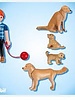 5209 Golden Retriever
