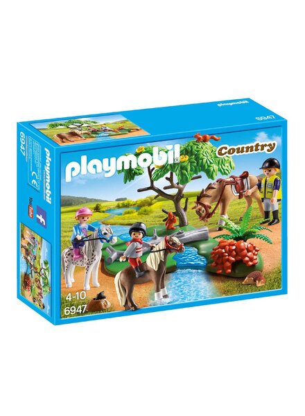 6947 Ponyrijles