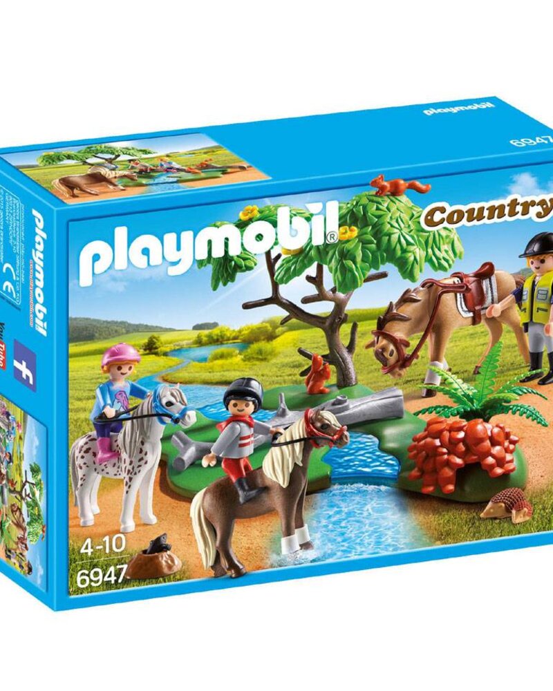 6947 Ponyrijles