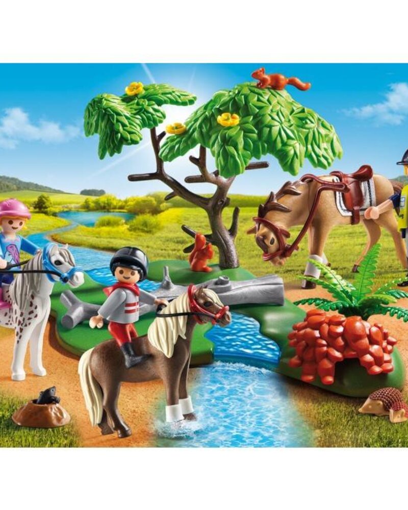 6947 Ponyrijles