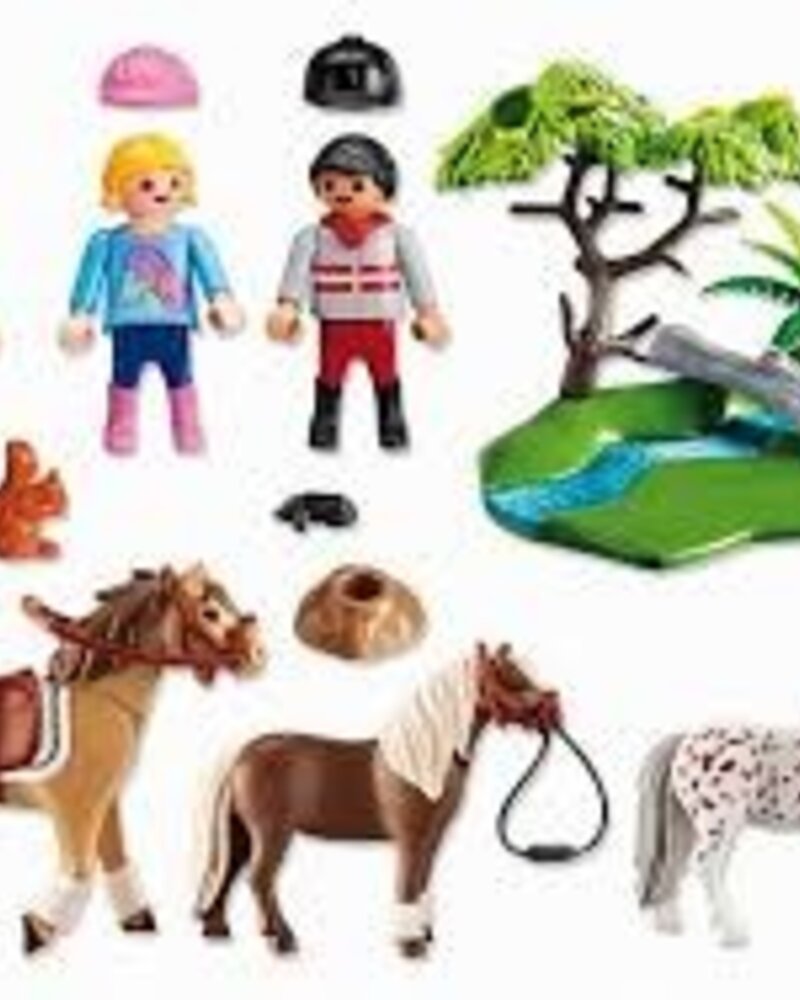 6947 Ponyrijles