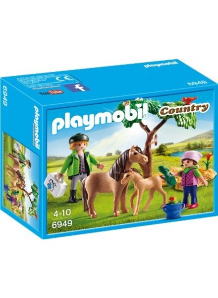 6949 Dierenarts met Pony