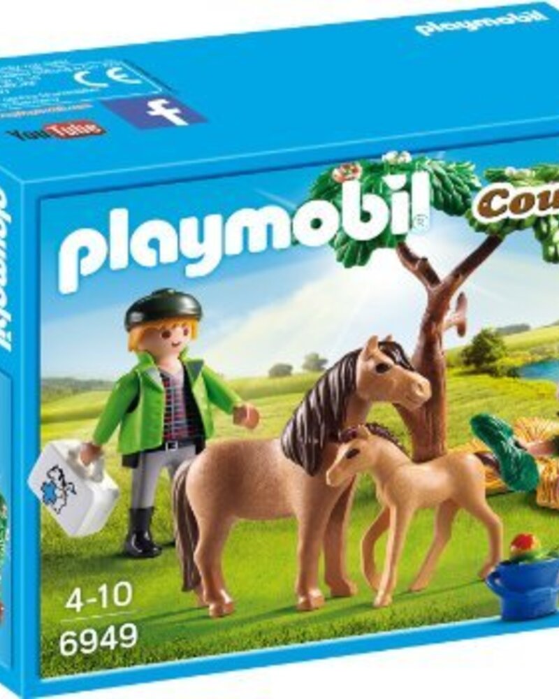6949 Dierenarts met Pony