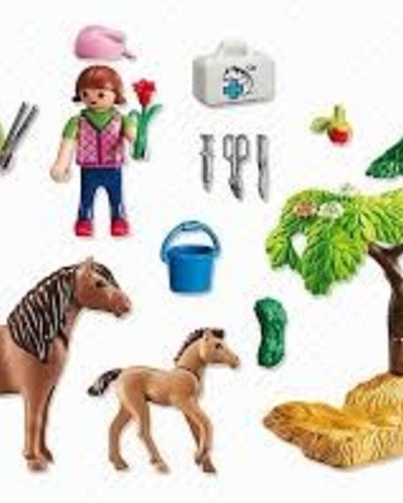 6949 Dierenarts met Pony