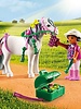 6969 Pony om te Versieren - Hart