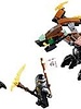 70599 Cole's Draak