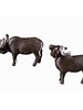 6944 Kaapse Buffels