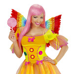 veren vleugels, regenboog