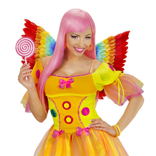 veren vleugels, regenboog