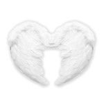 veren vleugels 37x50xm, wit