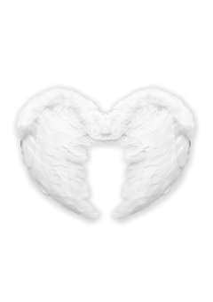 veren vleugels 37x50xm, wit