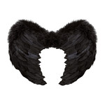 veren vleugels 37x50xm, zwart